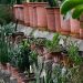 “Indoor Gardening Essentials: Tips for Happy Houseplants”