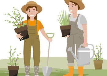“Seasonal Gardening Tips: Cultivating Your Garden Year-Round”